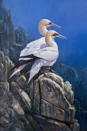 Framed Together Print