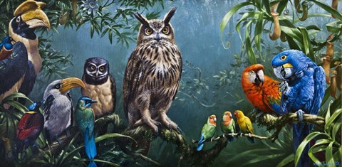 Framed Bird Gathering Print