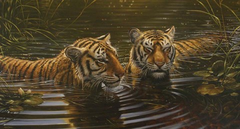 Framed In the Water Print