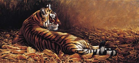 Framed Reclining Tiger Print