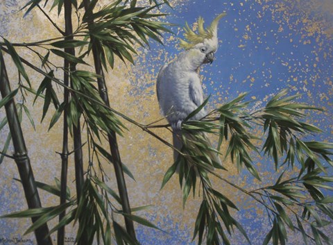 Framed Tropical Perch Print