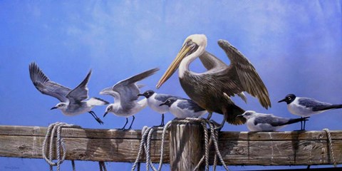 Framed Along The Boardwalk Print