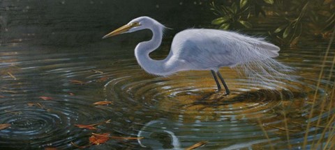 Framed Egret Print