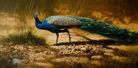 Framed Into the Light Print