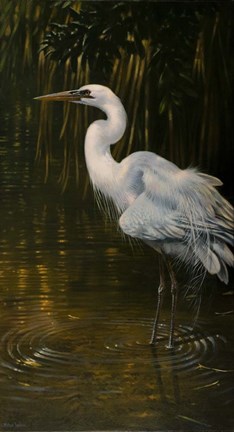 Framed Last Light Print