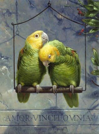 Framed Pair of Lovebirds Print