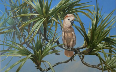 Framed Mullocan Print