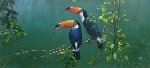 Framed Toucans Print