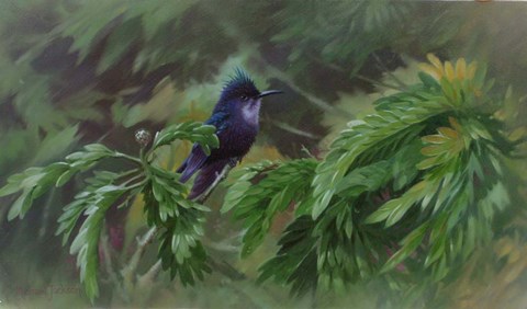 Framed Hidden in the Branches Print