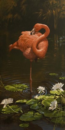 Framed Pirhouette Print