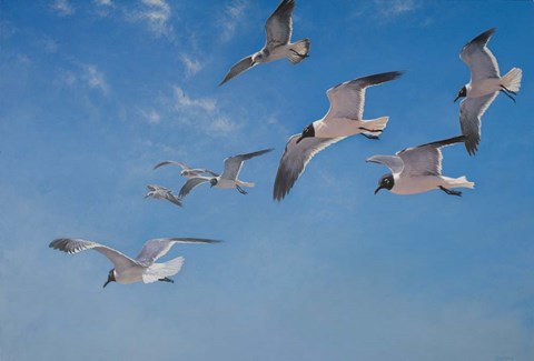 Framed Poetry In Motion Print