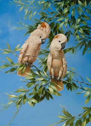 Framed Pretty In Pink Print