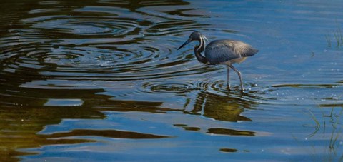 Framed Ripples Print