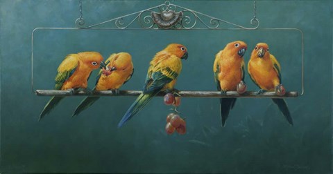 Framed Sunconures Print
