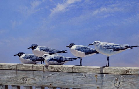 Framed Waiting for the Boats Print