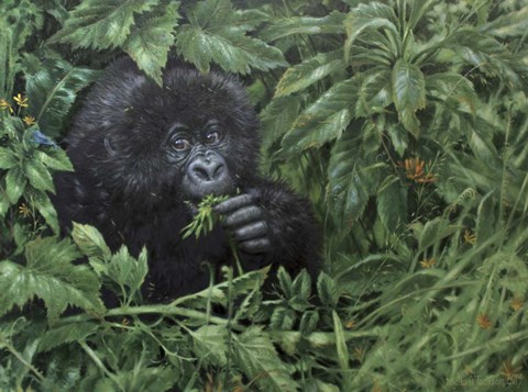 Framed Gorilla 1 Print