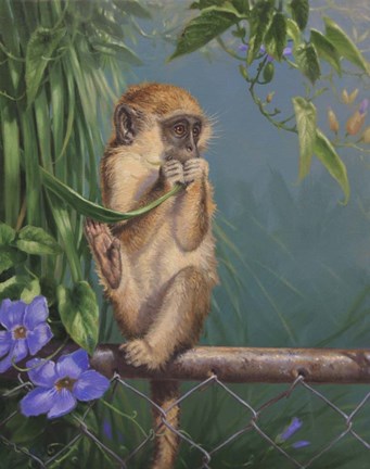 Framed On the Fence Print