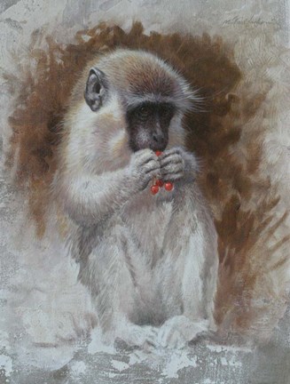 Framed Monkey 3 Print