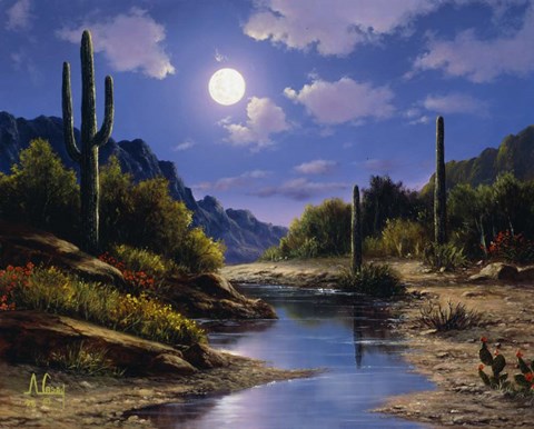 Framed Desert Splendor Print