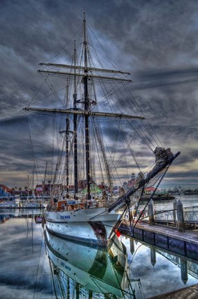 Framed Reflections Print