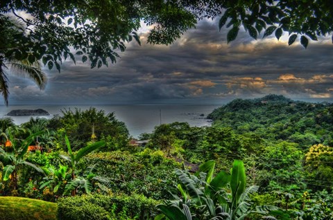 Framed Lush View Print