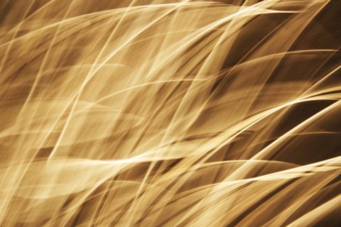 Framed Poesia En Monocromo 2 Print