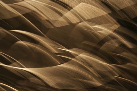 Framed Poesia En Monocromo 3 Print