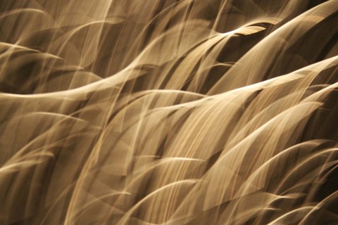 Framed Poesia En Monocromo 7 Print