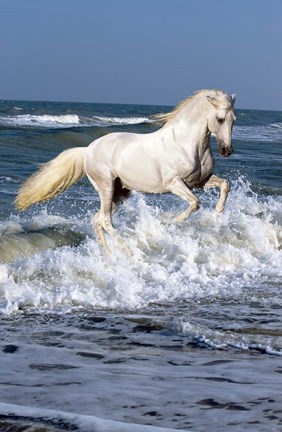 Framed Andalusian Sea Print