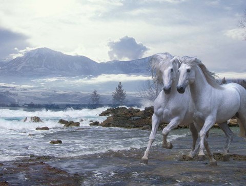 Framed Cold Mountain Print