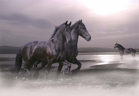 Framed Dawn Mist Print