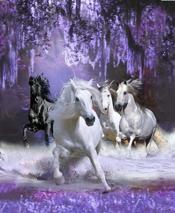 Framed Stampede Print