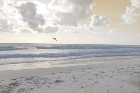 Framed Serene Sea I Print