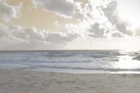 Framed Serene Sea III Print