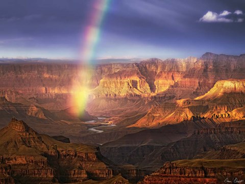 Framed Canyon View IV Print