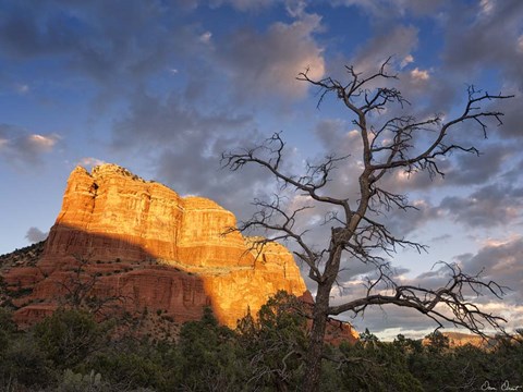 Framed Sunset in the Desert II Print