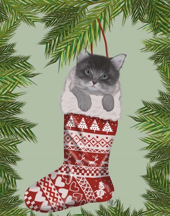 Framed Grey Kitten in Christmas Stocking Print