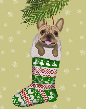 Framed French Bulldog in Christmas Stocking Print
