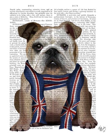 Framed English Bulldog with Scarf Print