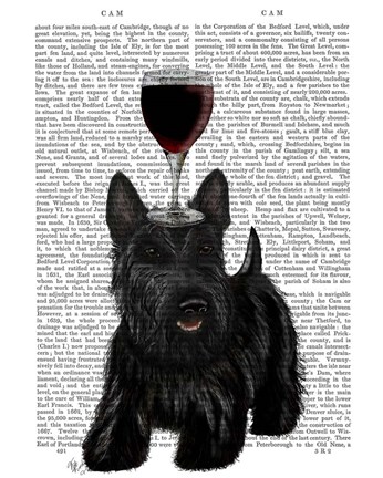 Framed Dog Au Vin, Scottish Terrier Print