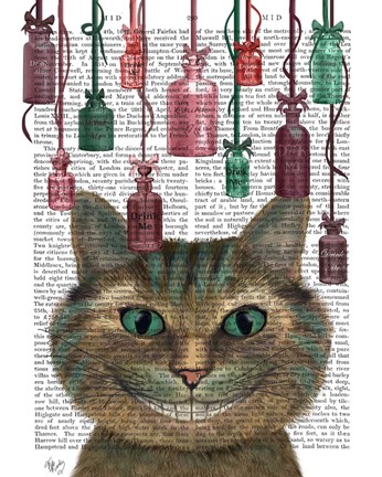 Framed Cheshire Cat and Bottles Print