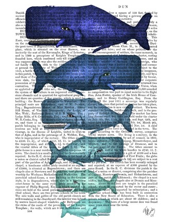 Framed Blue Whale Family Print