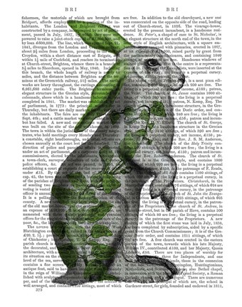 Framed Hare with Green Ears Print