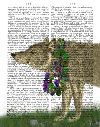 Framed Wolf and Garland Print