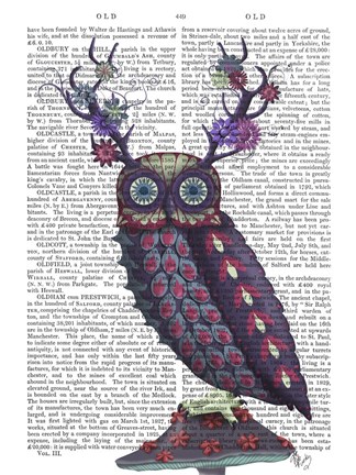 Framed Owl with Psychedelic Antlers Print