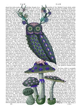Framed Owl on Mushrooms Print