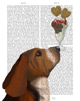 Framed Basset Hound Ice Cream Print