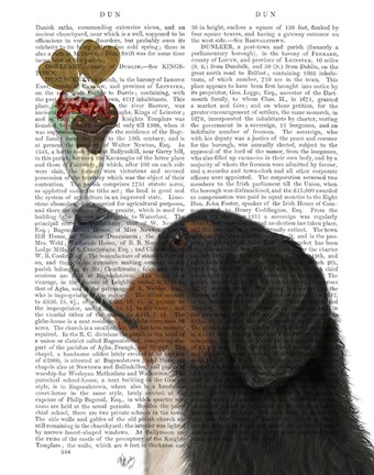 Framed Bernese Ice Cream Print