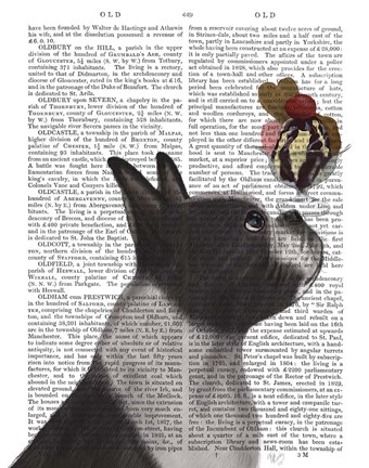 Framed Boston Terrier Ice Cream Print