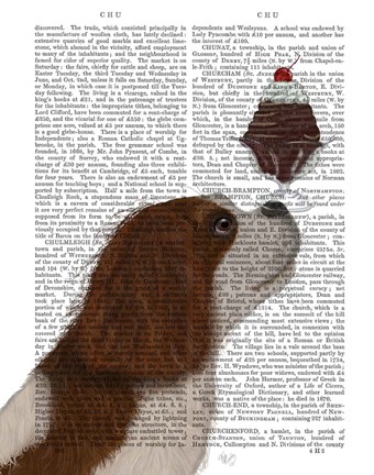 Framed Cavalier King Charles, Brown White, Ice Cream Print